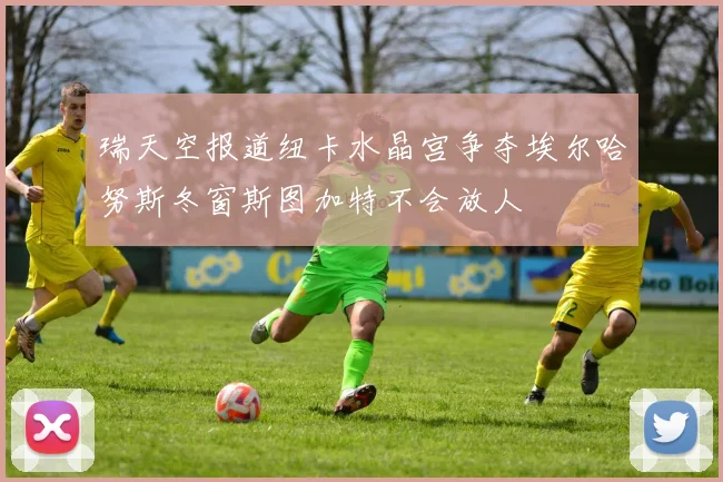 瑞天空报道纽卡水晶宫争夺埃尔哈努斯冬窗斯图加特不会放人