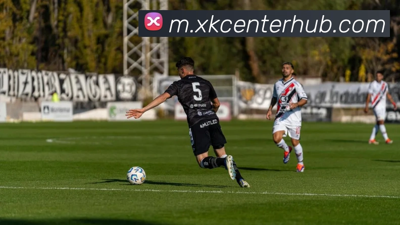 星空体育平台生态图